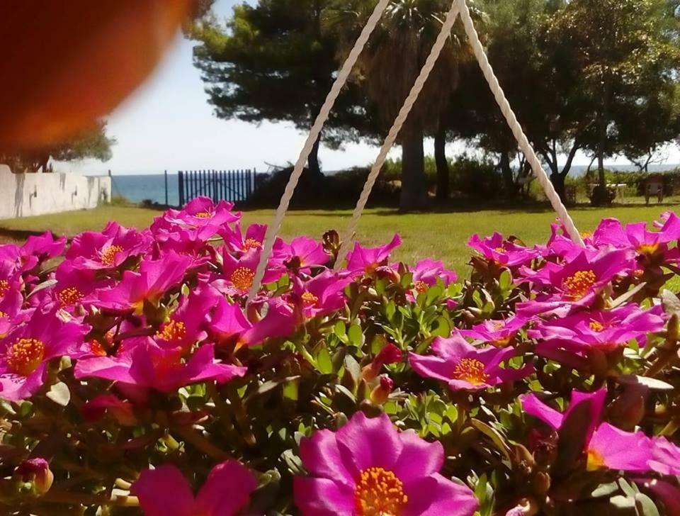Seafront Villa Joan Неа-Скиони Экстерьер фото